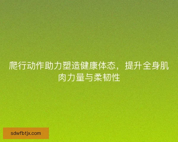 爬行动作助力塑造健康体态，提升全身肌肉力量与柔韧性