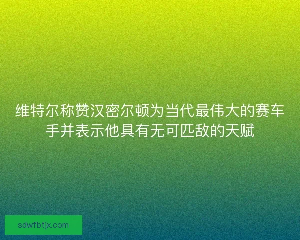 维特尔称赞汉密尔顿为当代最伟大的赛车手并表示他具有无可匹敌的天赋