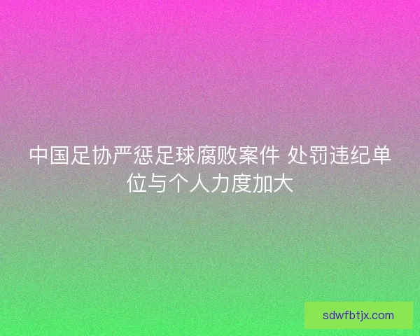 中国足协严惩足球腐败案件 处罚违纪单位与个人力度加大