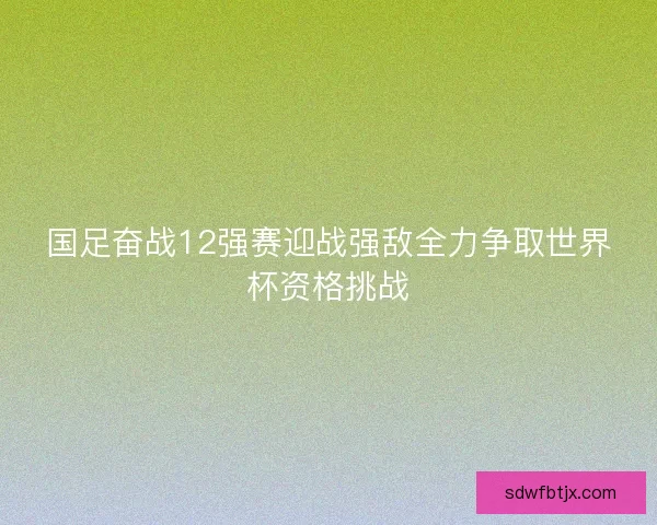 国足奋战12强赛迎战强敌全力争取世界杯资格挑战